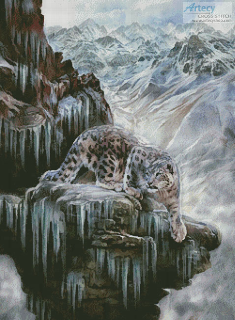 (image for) Snow Leopard High Country